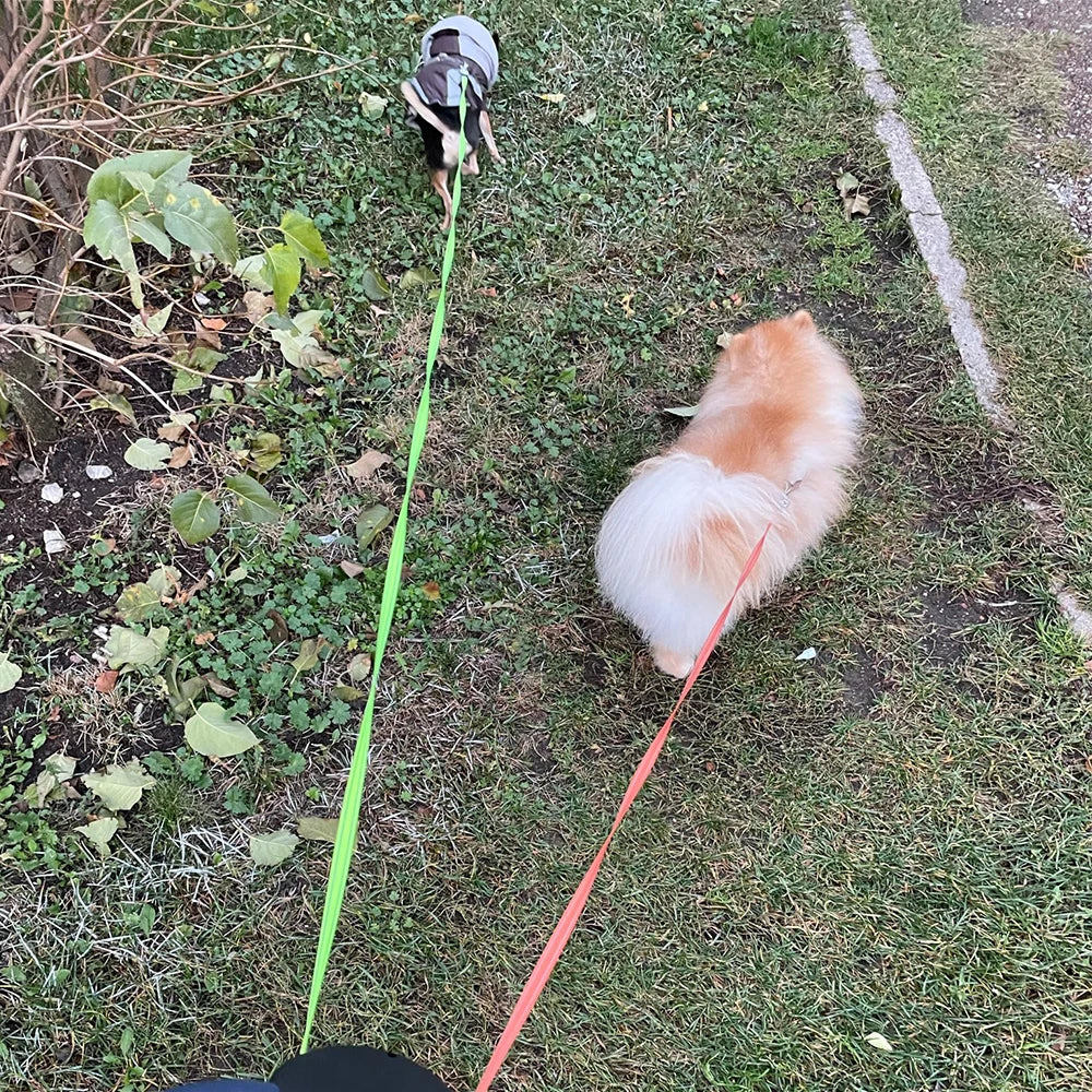 Retractable Double Ended Dog Leash