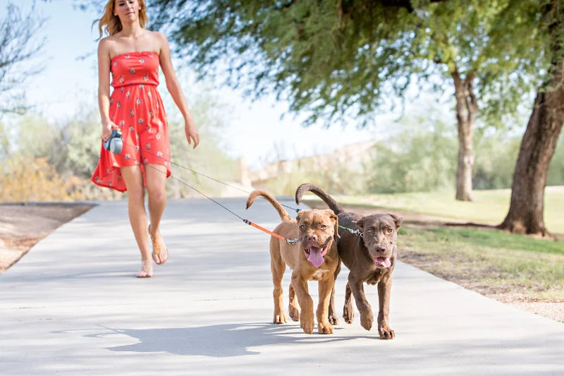 Retractable Double Ended Dog Leash